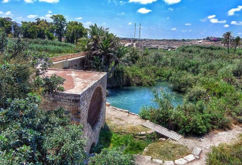 فندق صغير Juha S Guesthouse Zarqa Bay