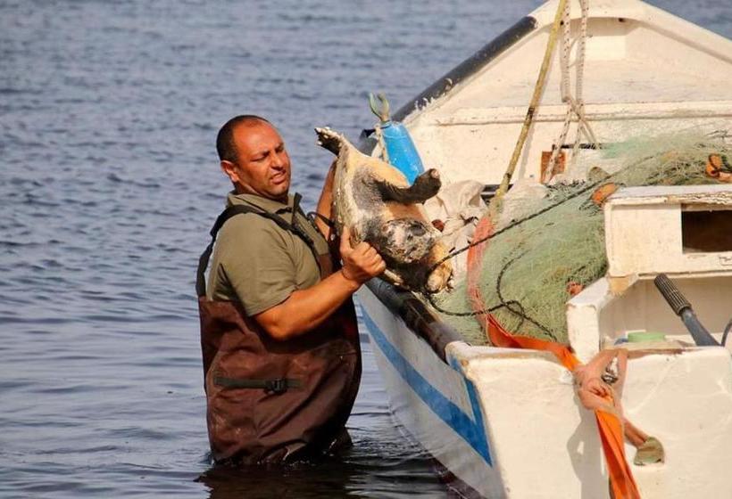 فندق صغير Juha S Guesthouse Zarqa Bay