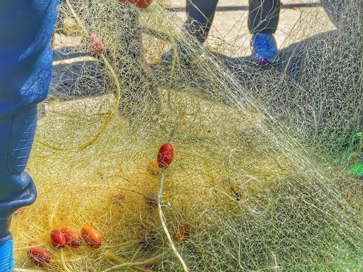 فندق صغير Juha S Guesthouse Zarqa Bay