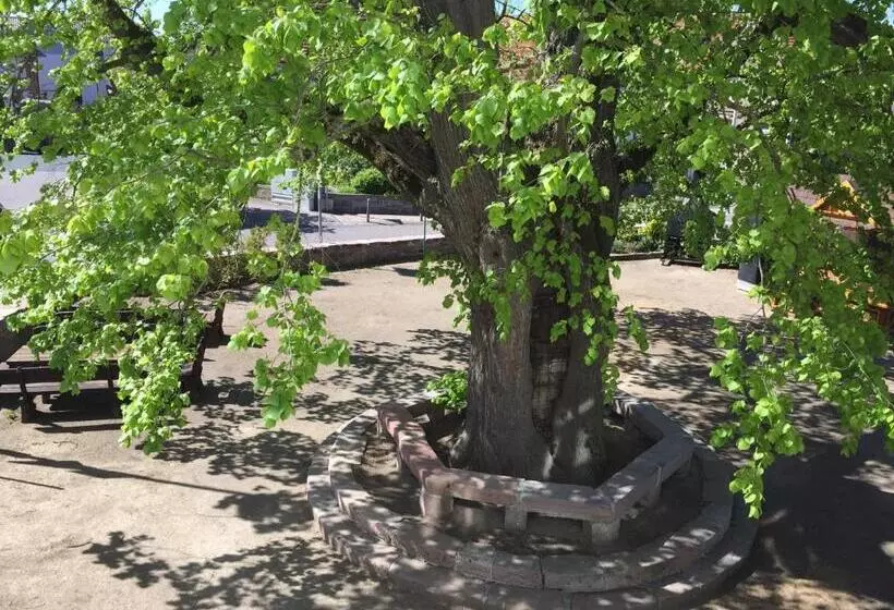 Retkeilymaja Landgasthof Hotel Zur Linde