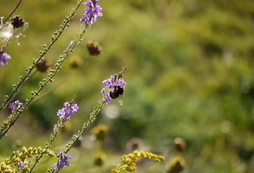 Retkeilymaja Manowhenua Lodge