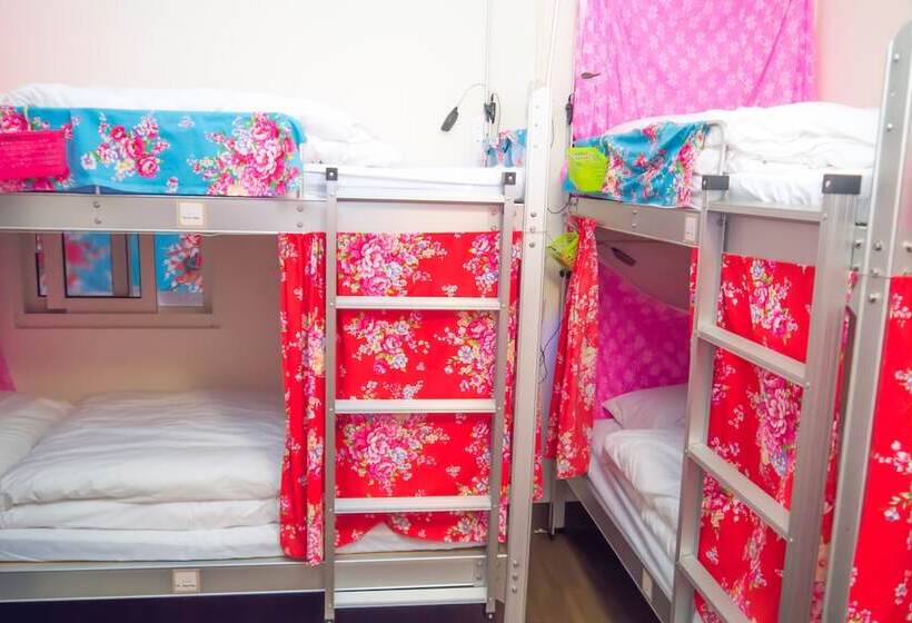 هاستل Smalleye Backpacker