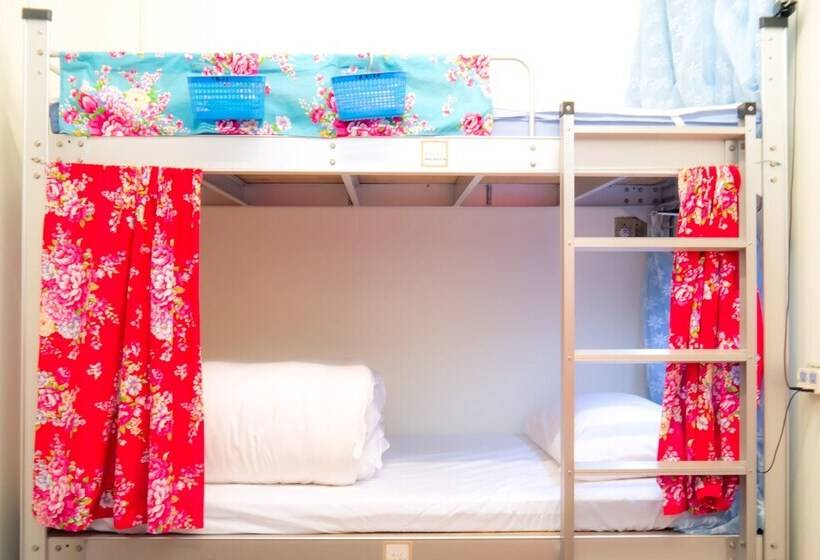 هاستل Smalleye Backpacker