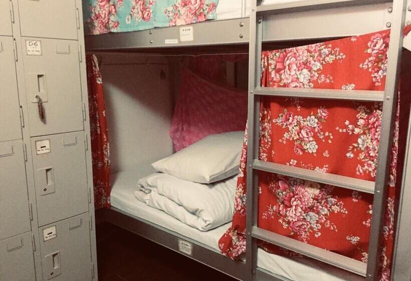 هاستل Smalleye Backpacker