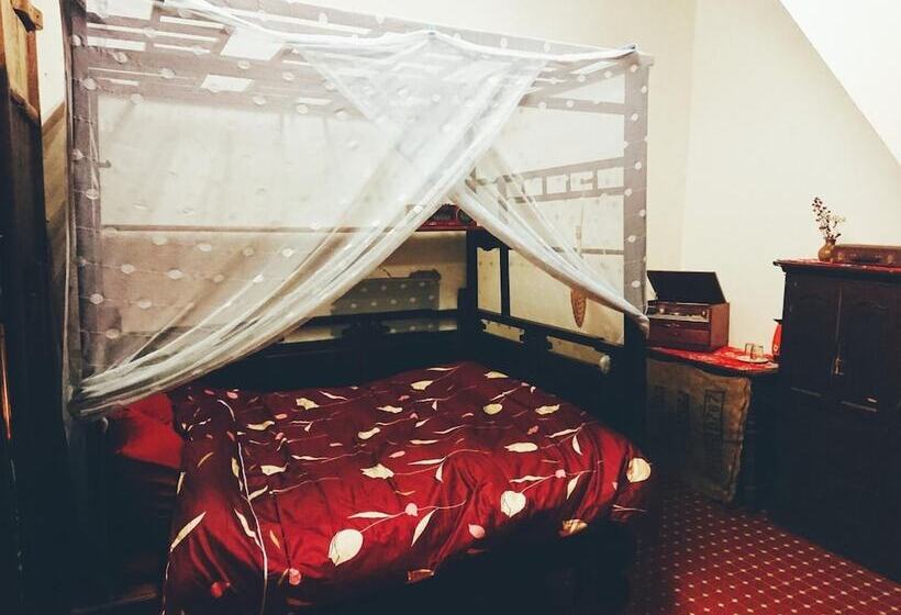 هاستل Smalleye Backpacker