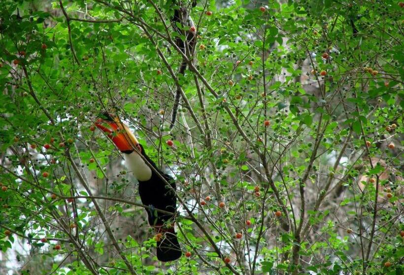 호텔 Fazenda Santa Marina