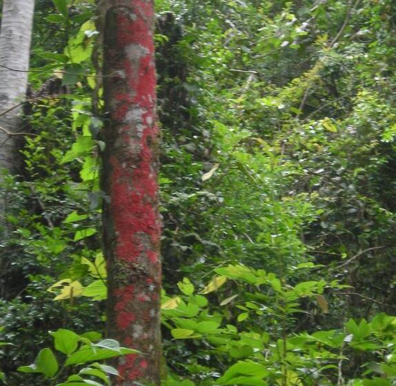 호텔 Fazenda Santa Marina