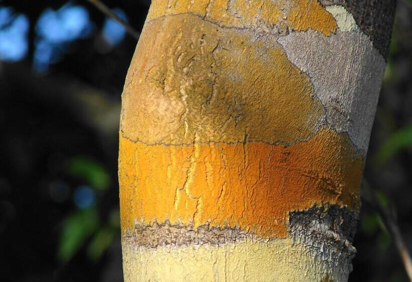 호텔 Fazenda Santa Marina