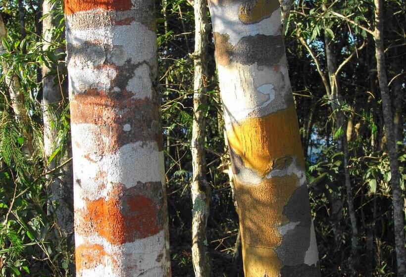 호텔 Fazenda Santa Marina