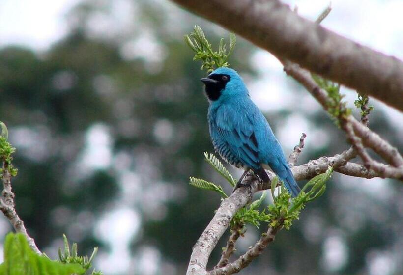 호텔 Fazenda Santa Marina