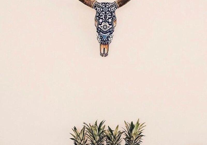 ホテル Fenix Beach Cartagena