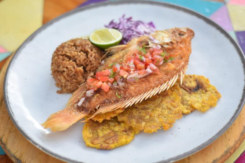 ホテル Fenix Beach Cartagena