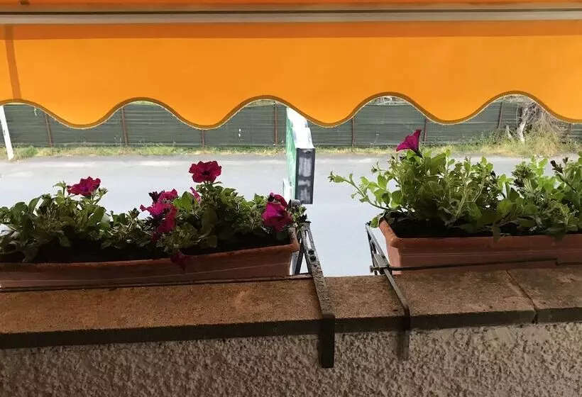 ホテル B&b Rispescia Grosseto