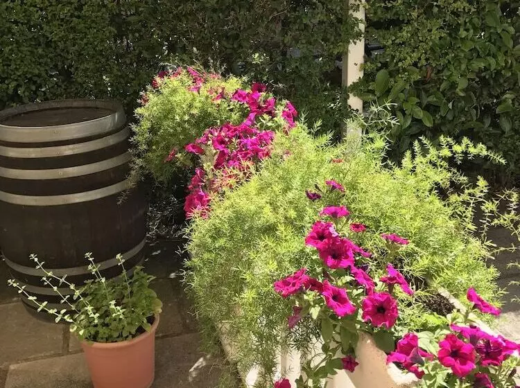 ホテル B&b Rispescia Grosseto