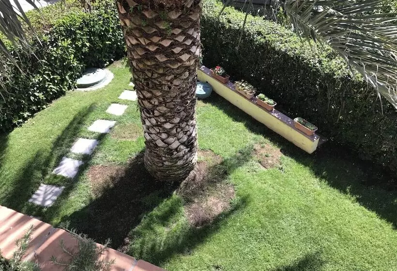 ホテル B&b Rispescia Grosseto