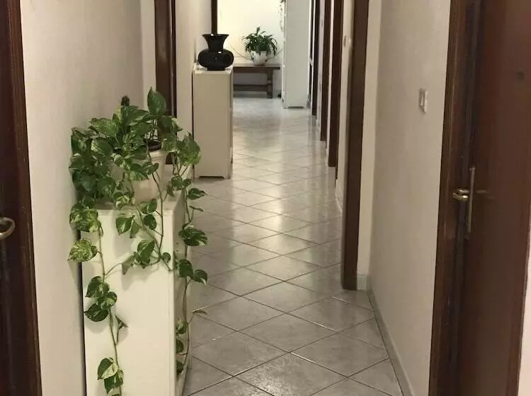 ホテル B&b Rispescia Grosseto