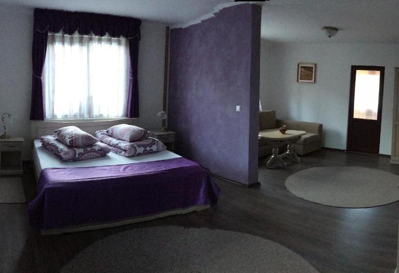 بنسيون Casa Skandik Ház