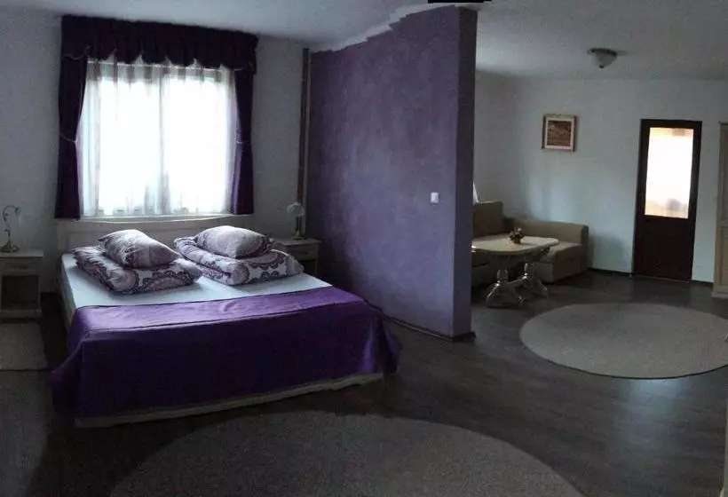 ペンション Casa Skandik Ház