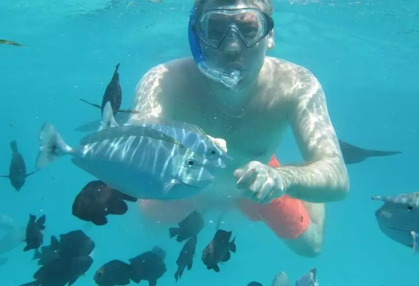 پانسیون Horsburgh Island Guesthouse