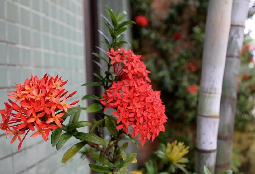 פנסיון Pousada Rio Nilo