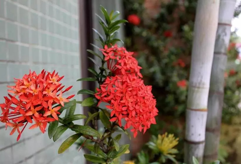 ペンション Pousada Rio Nilo