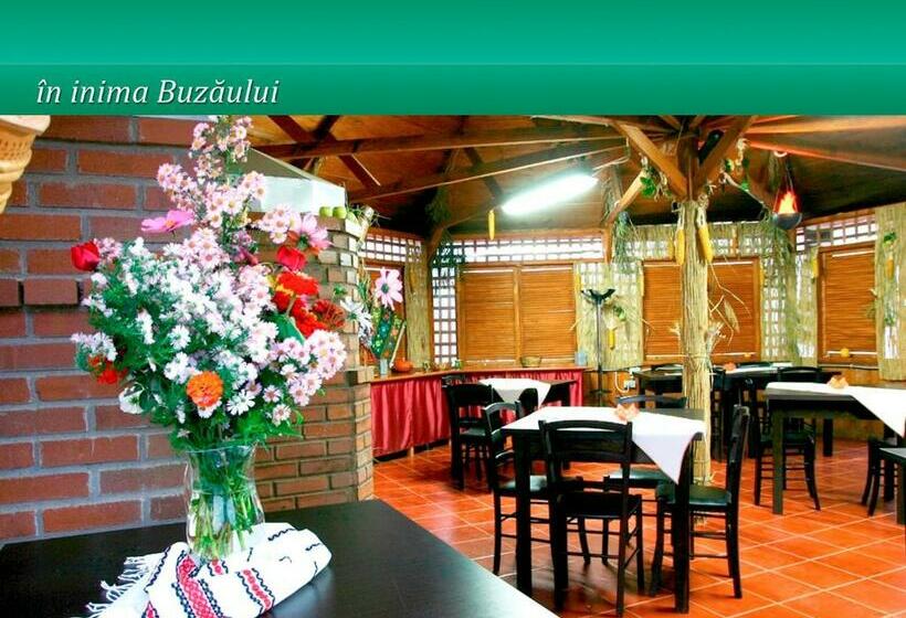 Pensiunea Casa Matei