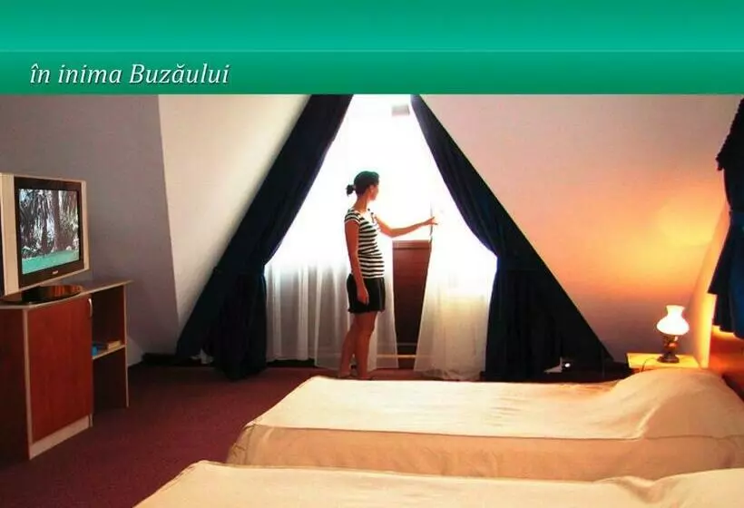 Pensiunea Casa Matei