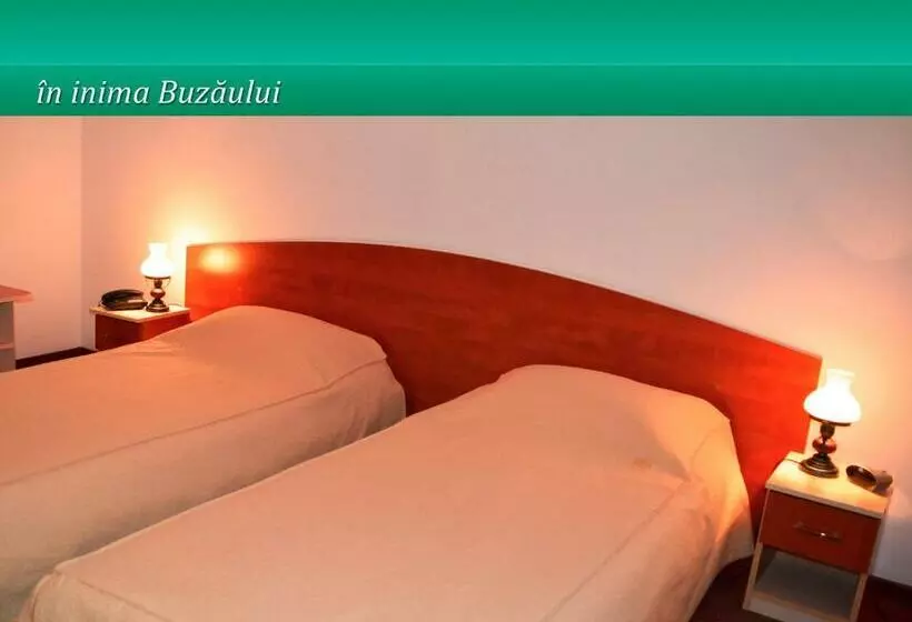 Pensiunea Casa Matei