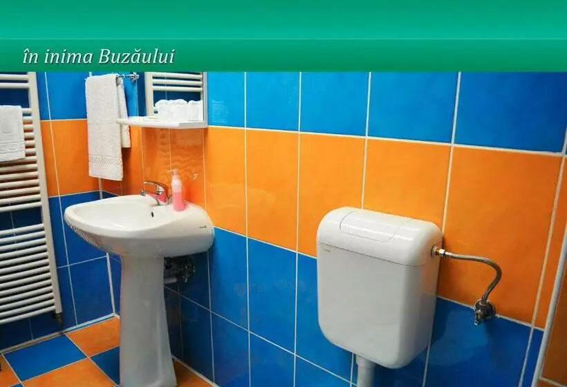 Pensiunea Casa Matei