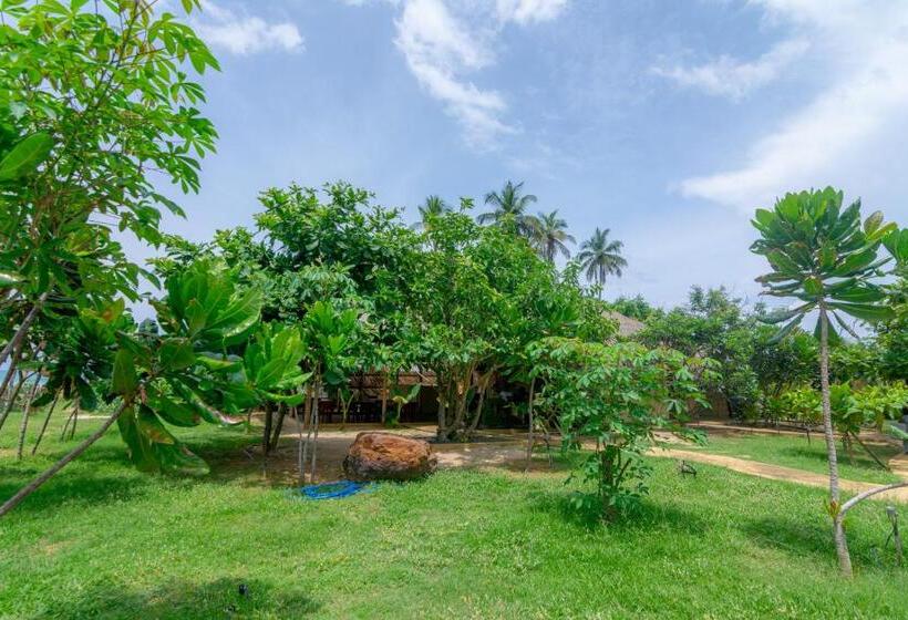 فندق Blue Waters