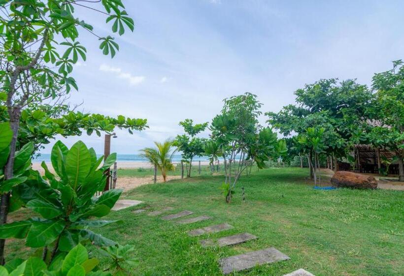 فندق Blue Waters