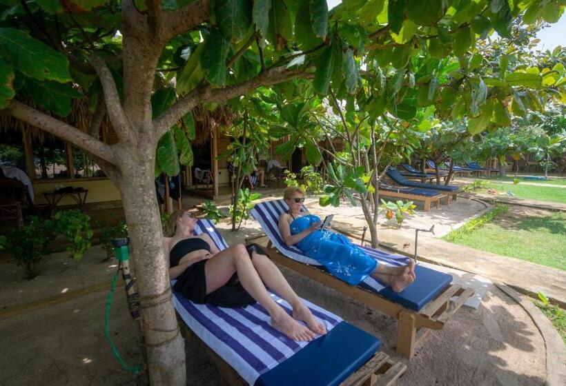 فندق Blue Waters