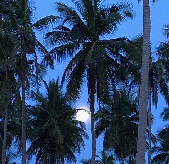 فندق Blue Waters