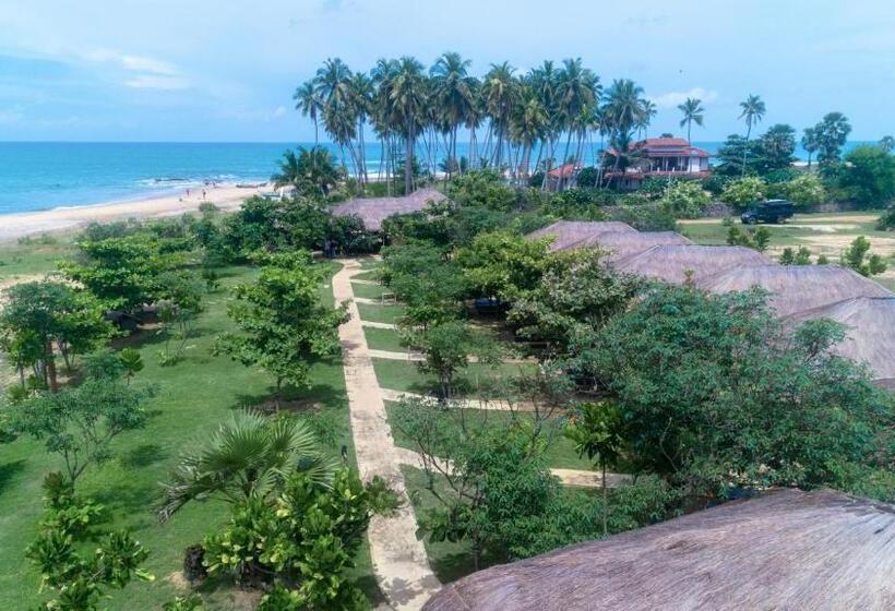 فندق Blue Waters