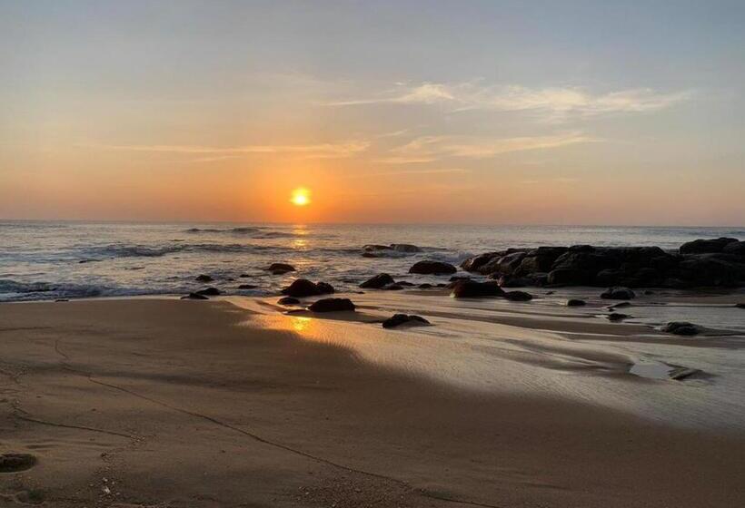 فندق Blue Waters