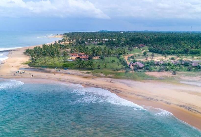 فندق Blue Waters