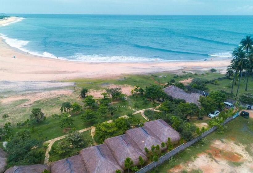 فندق Blue Waters