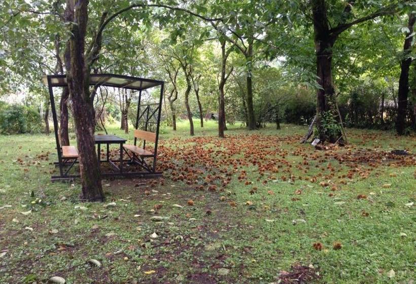 هتل Kobuleti Garden Inn