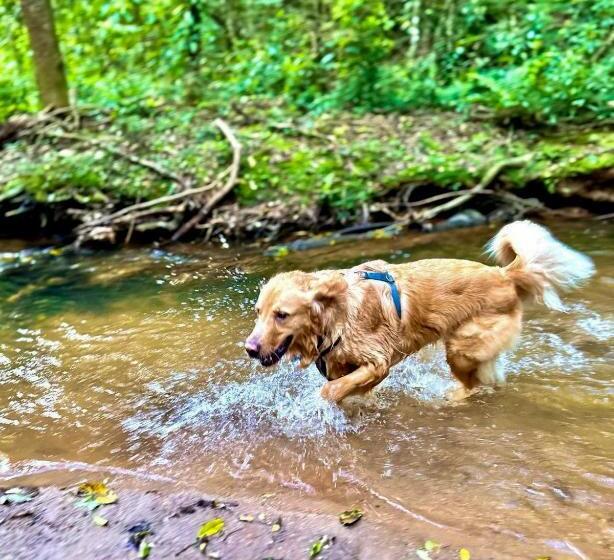 Hotel Pousada Olivier Da Montanha   Recanto Das águas