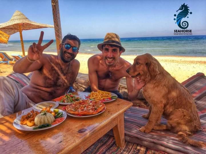 هاستل Sea Horse