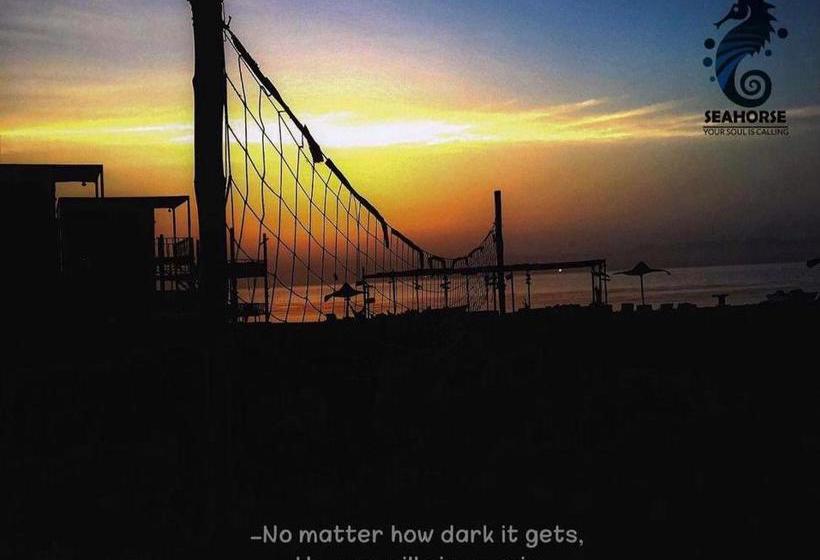 هاستل Sea Horse