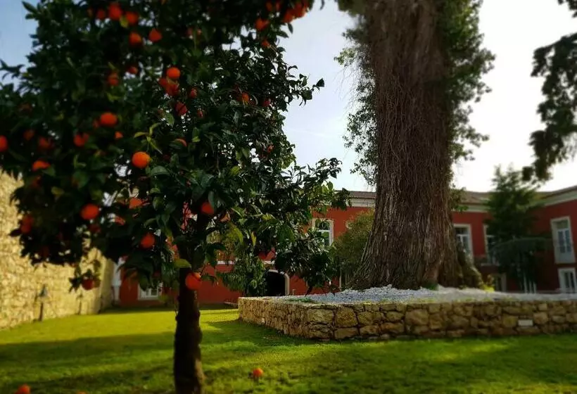 ホテル Palacio Sao Silvestreboutique