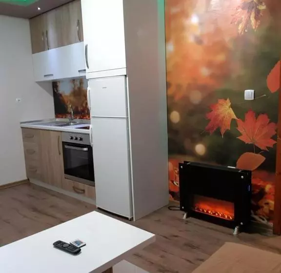 پانسیون Bolero