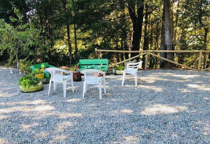 پانسیون Del Rey