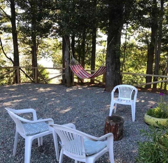 پانسیون Del Rey