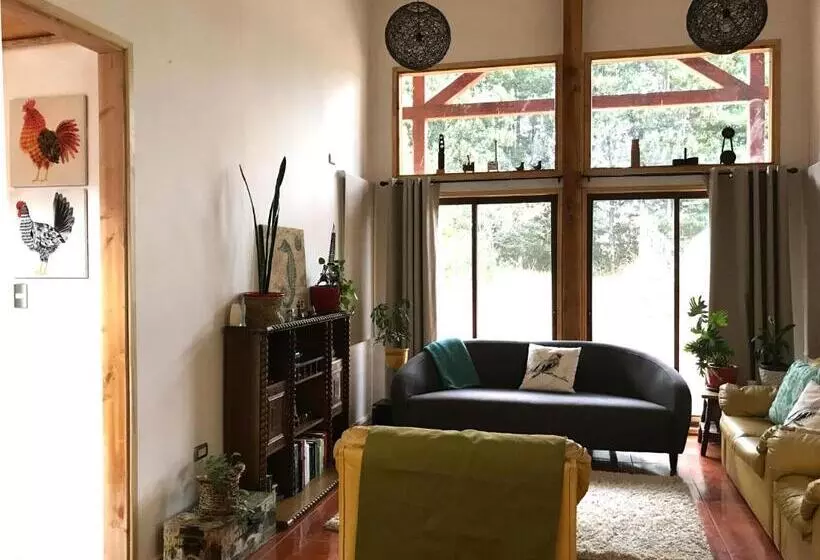 Pension Del Rey