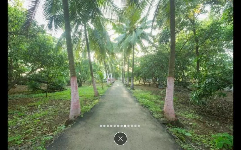 Hotel Coco Mango