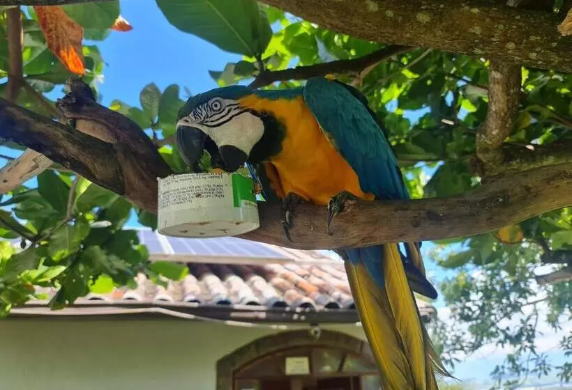 Hotelli Pousada Nossa Senhora