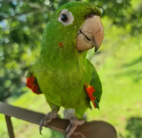 Hotelli Pousada Nossa Senhora