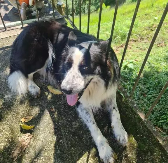 Hotelli Pousada Nossa Senhora